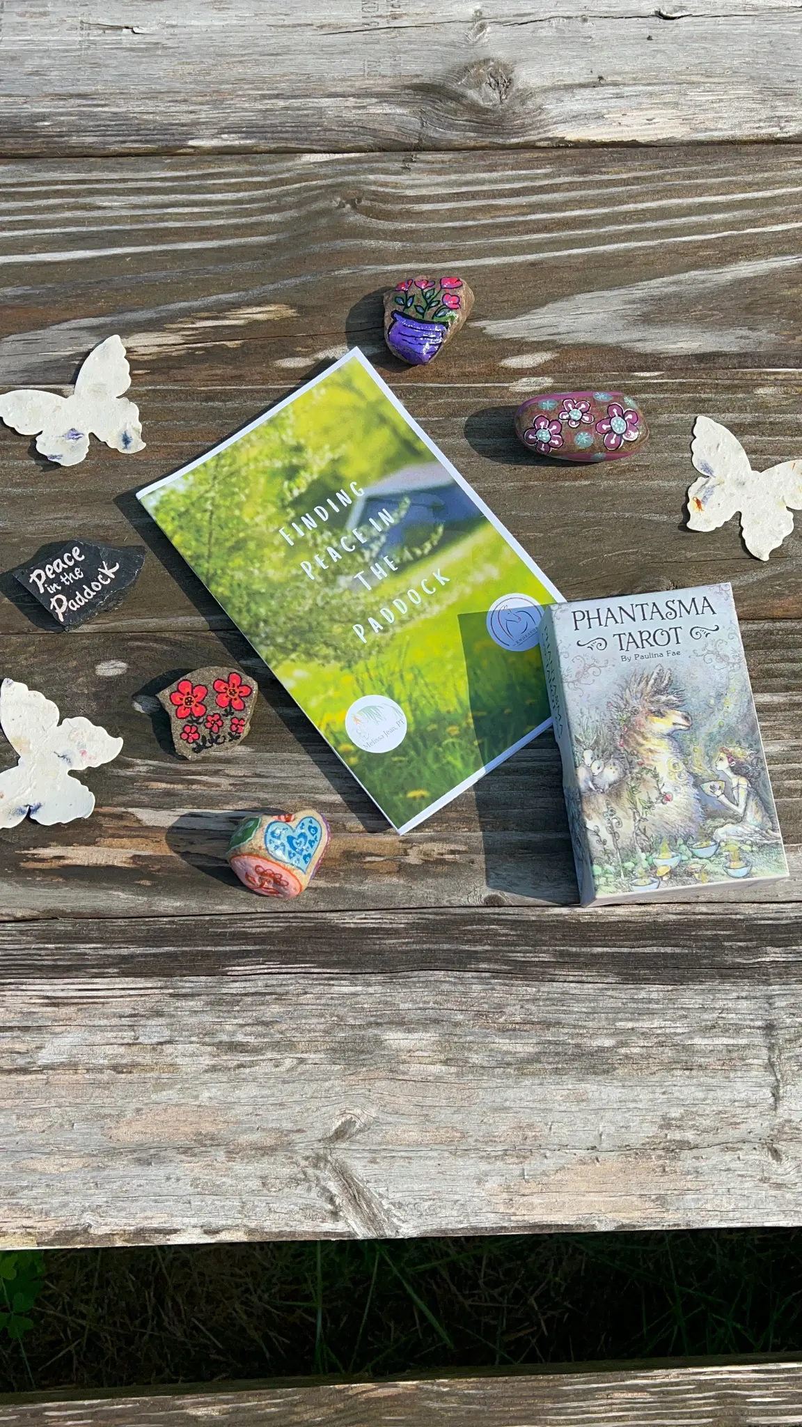 Finding Peace in the Paddock book beside painted stones